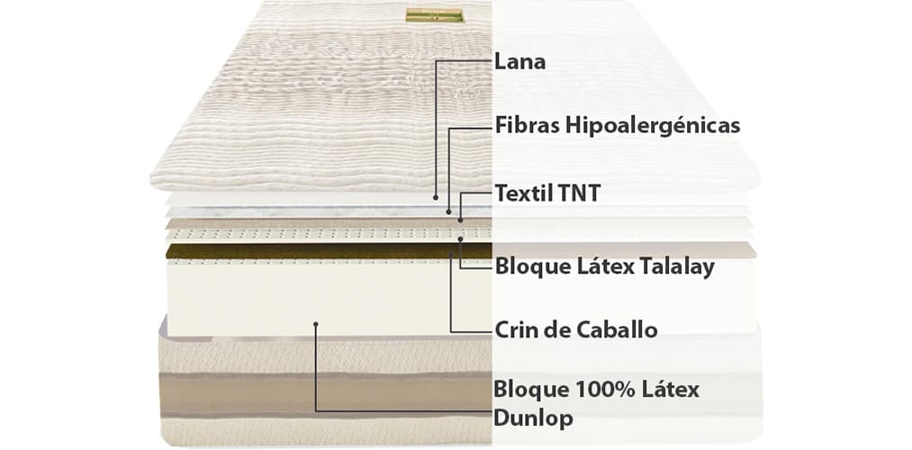 Corte del producto Colchón de Látex Natural Dorwin Natur Talalay Articulado