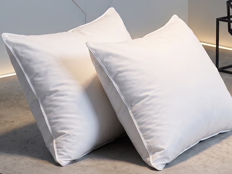 View Ingravity pillows